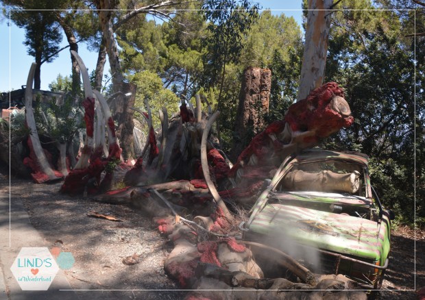 lindsinwonderland-etats-unis-usa-roadtrip_3