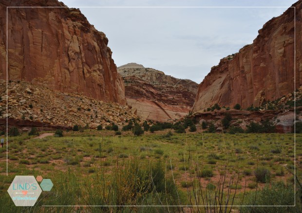 lindsinwonderland-etats-unis-usa-roadtrip_56