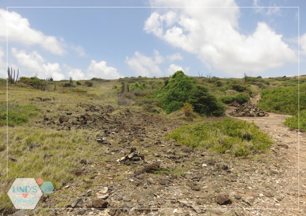 martinique-photos-lindsinwonderland-paysage_12
