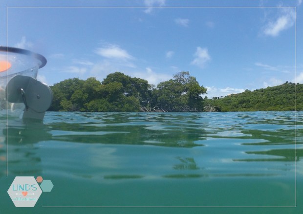 martinique-photos-lindsinwonderland-paysage_13
