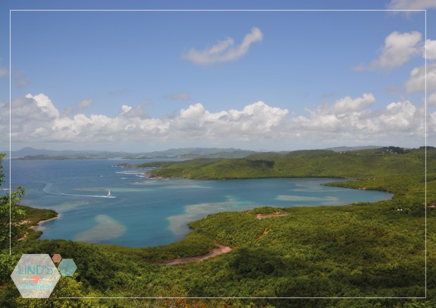 martinique-photos-lindsinwonderland-paysage_17