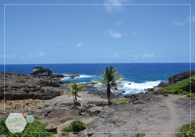 martinique-photos-lindsinwonderland-paysage_18