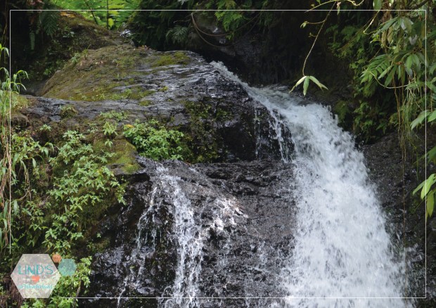 martinique-photos-lindsinwonderland-paysage_28