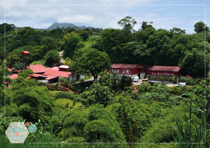 martinique-photos-lindsinwonderland-paysage_33