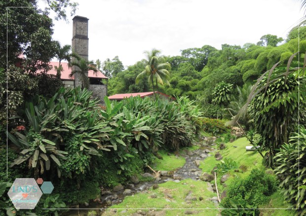 martinique-photos-lindsinwonderland-paysage_34