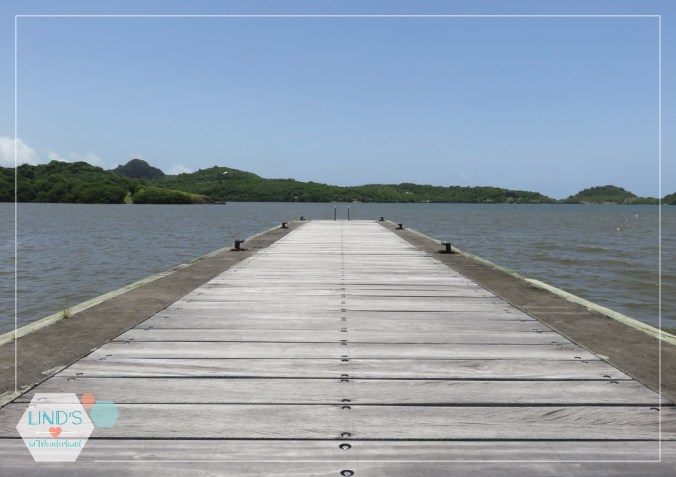 martinique-photos-lindsinwonderland-paysage_35