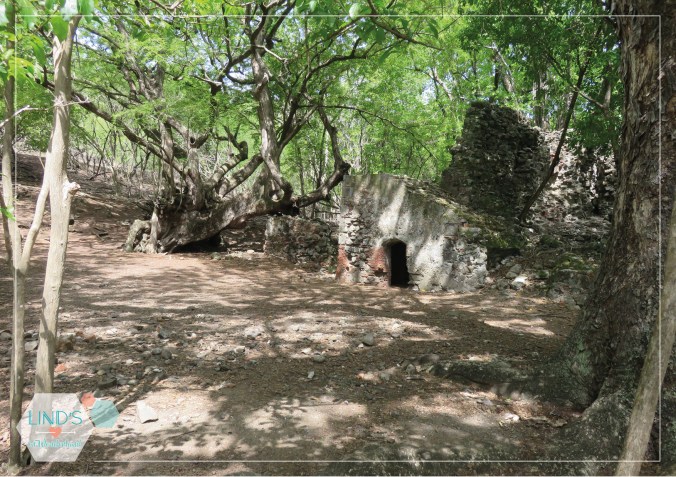 martinique-photos-lindsinwonderland-paysage_36