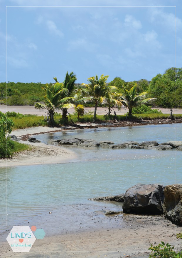 martinique-photos-lindsinwonderland-portrait_3