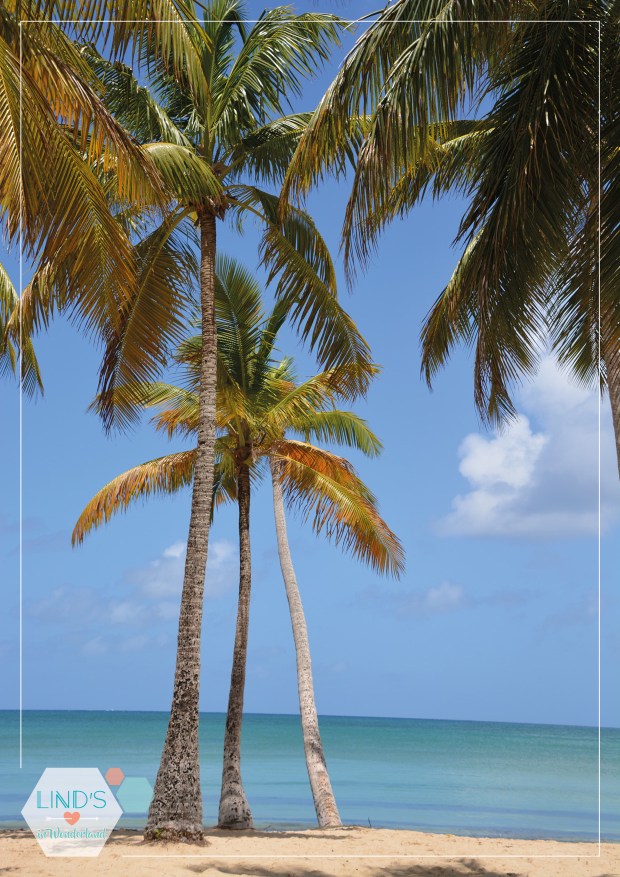 martinique-photos-lindsinwonderland-portrait_4