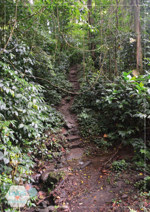 martinique-photos-lindsinwonderland-portrait_6