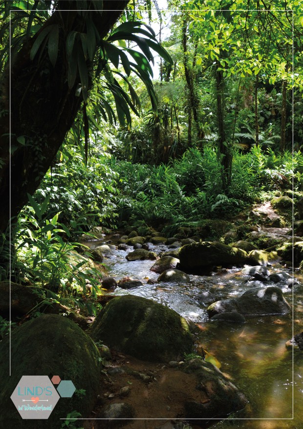 martinique-photos-lindsinwonderland-portrait_7