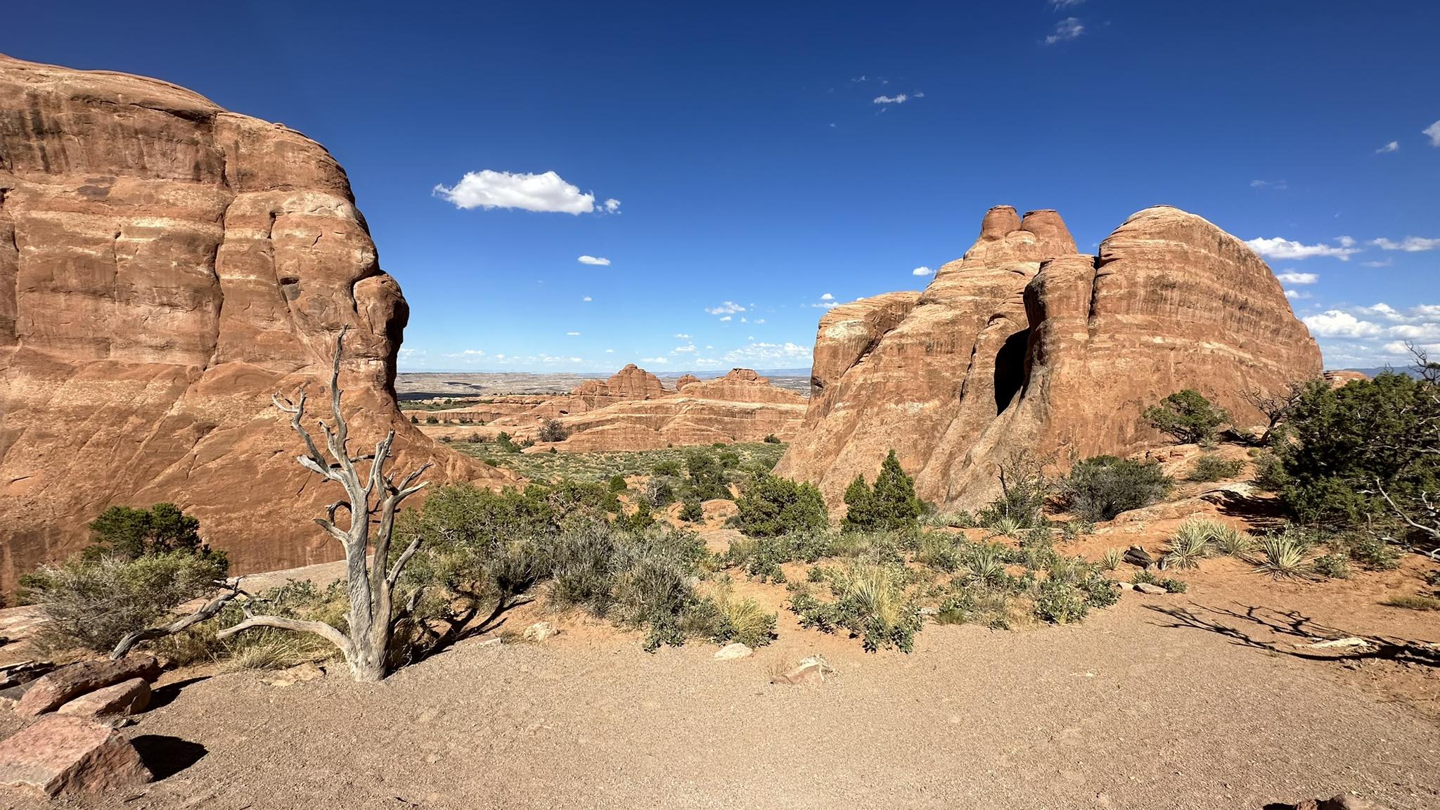 Aucune description disponible.