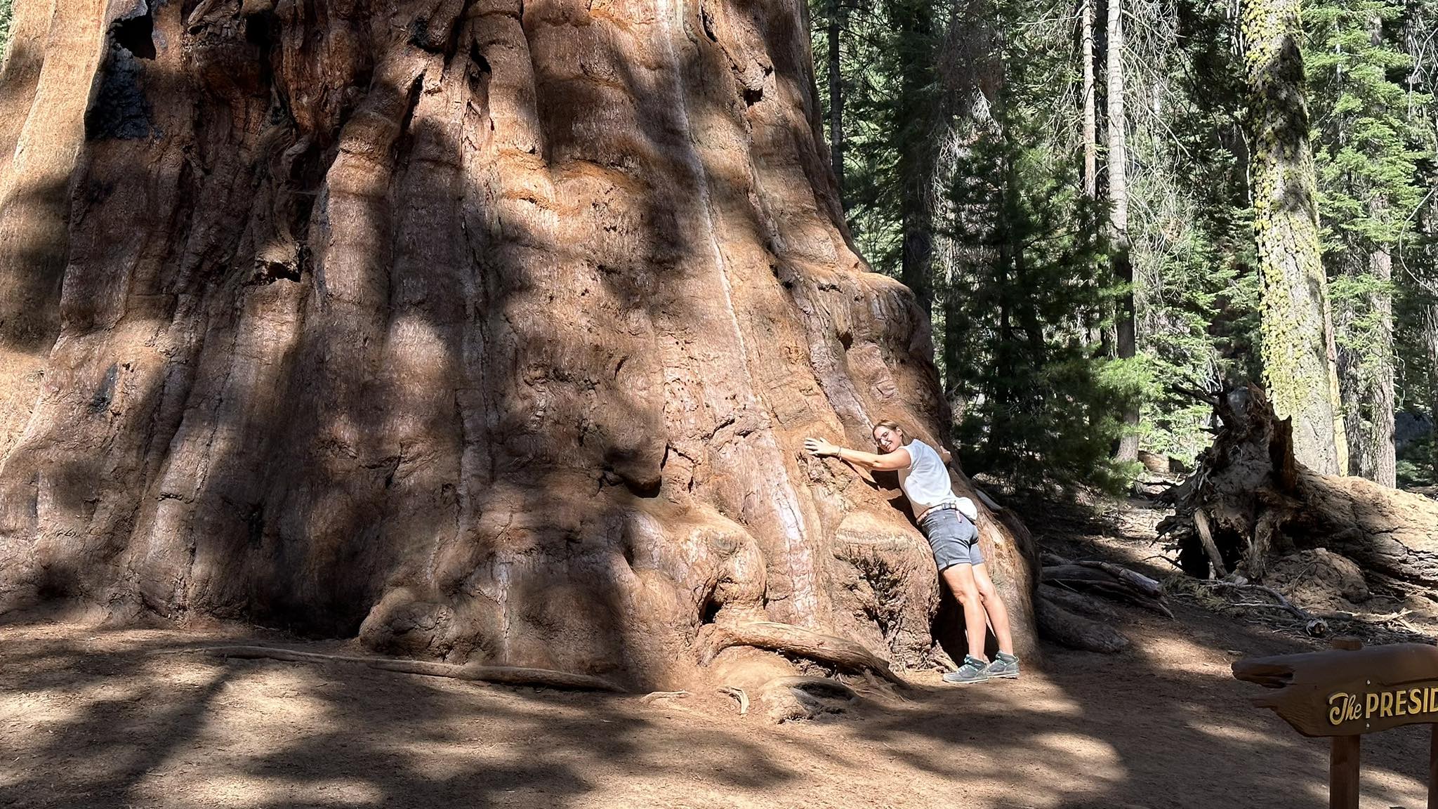 Aucune description disponible.